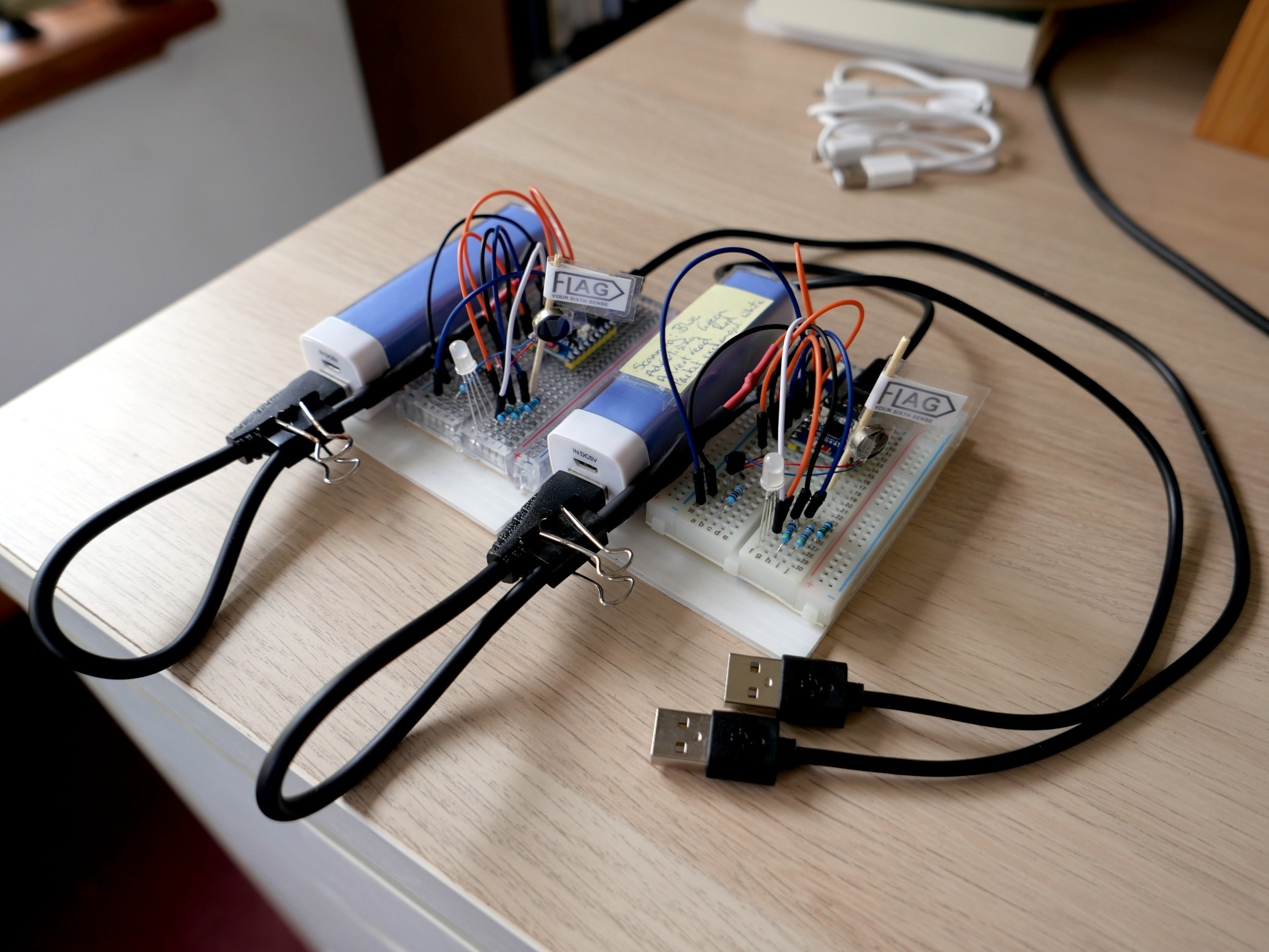 Prototype FLAG devices